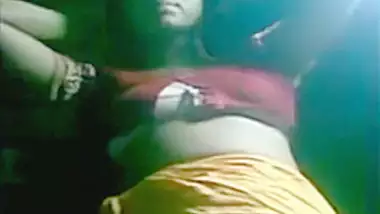 Andhra Pradesh Young Housewife Saree And Blouse Open Sex Videos